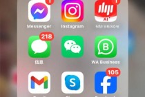whatsapp苹果版表情使用体验与设置技巧全面解析