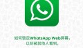 whatsapp的消息动态功能解析与高效沟通实践指南