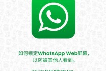 whatsapp的消息动态功能解析与高效沟通实践指南