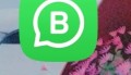 Erlang WhatsApp 高并发即时通信系统架构设计启示