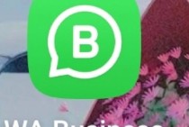 Erlang WhatsApp 高并发即时通信系统架构设计启示