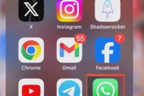 whatsapp 国外市场沟通与营销实用指南