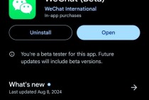 深入解析WhatsApp语音功能的使用技巧与沟通优势
