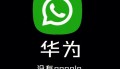 whatsapp是用流量的吗？全面解析其流量消耗与使用建议