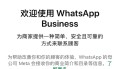 whatsapp 帐号是什么 一文看懂注册使用与安全要点